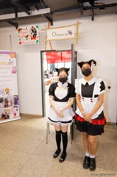 Copyright : Vincent Folliard